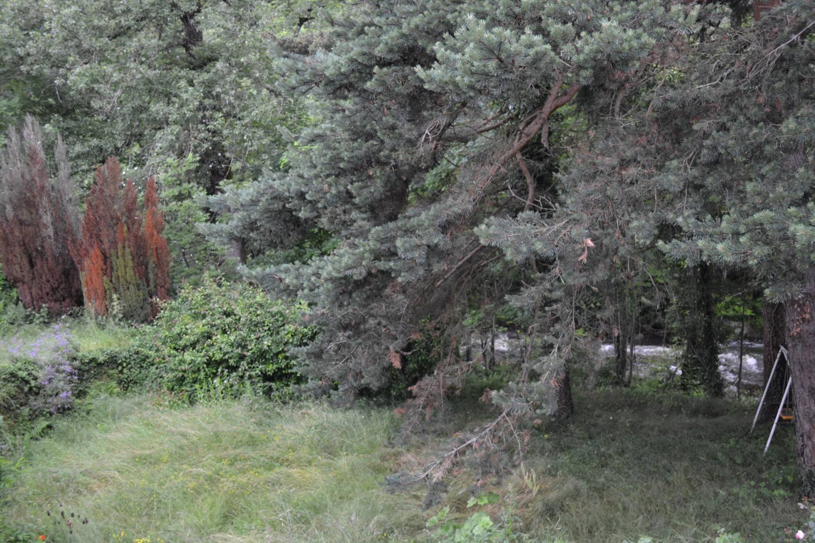 Maison 100 m² à rafraichir Intres