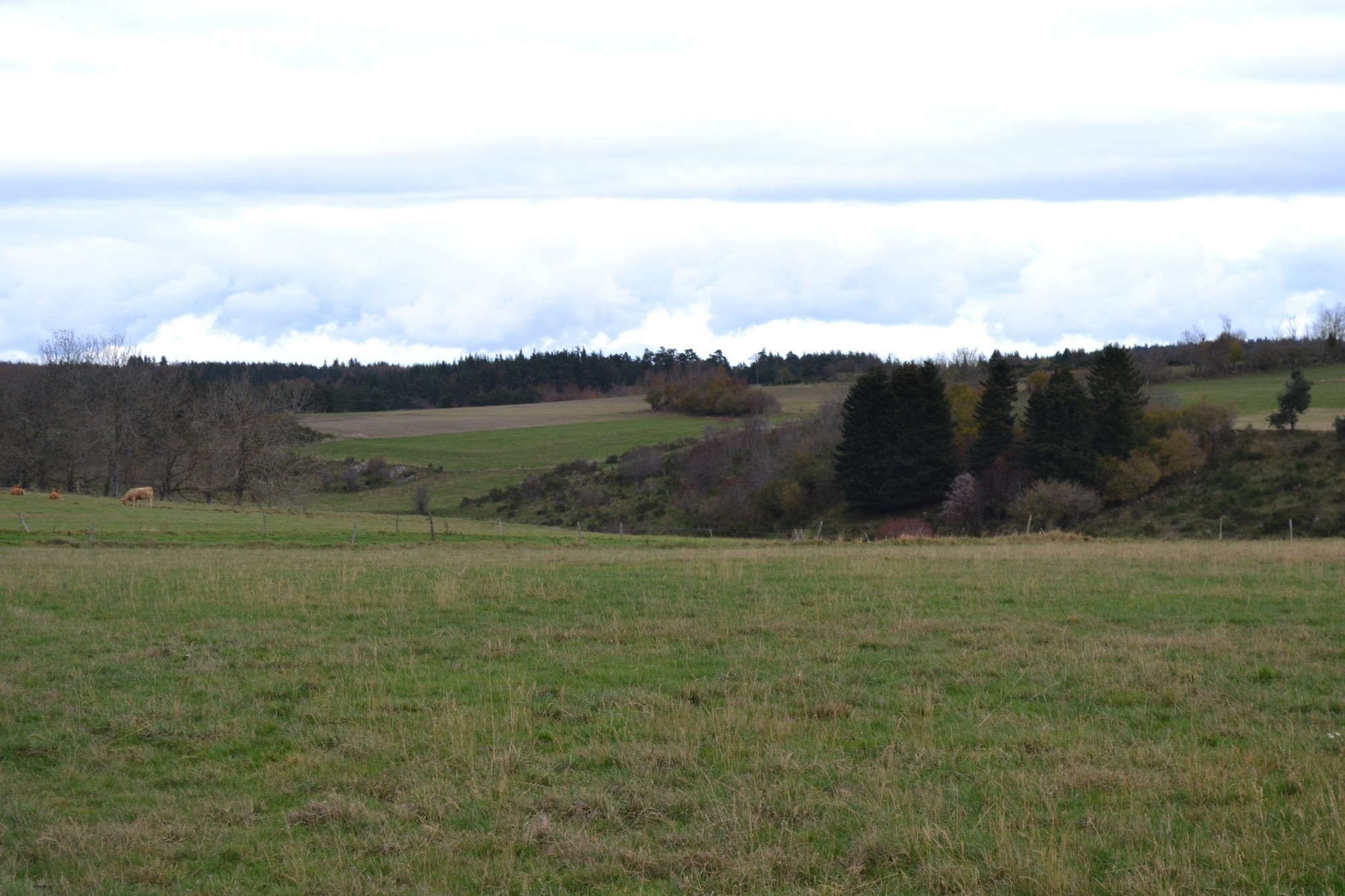 Ferme à rénover LES VASTRES 14 HECTARES DE TERRAIN  Ferme à rénover LES VASTRES 14 HECTARES DE TERRAIN