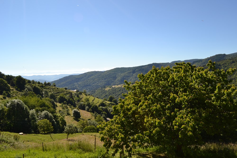 Maison de hameau  Campagne de St Agrève A rénover. Vue