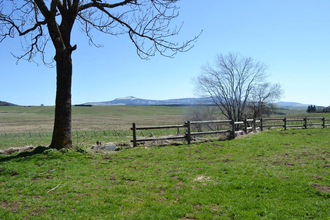 Ferme rénovée sur plus de 1ha T5 Saint Front Magnifique Vue et environnement Ferme rénovée sur plus de 1ha 5 Saint Front Campagne du Mézenc Magnifique Vue et environnement