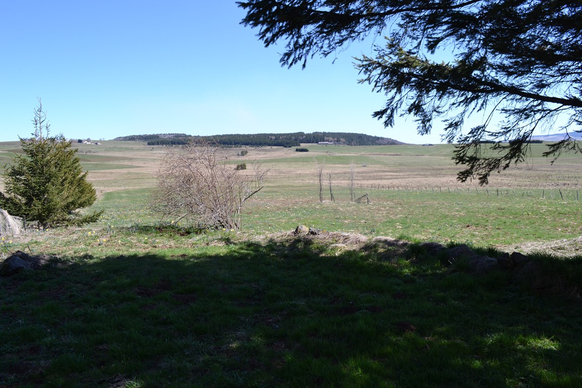 Ferme rénovée sur plus de 1ha T5 Saint Front Magnifique Vue et environnement Ferme rénovée sur plus de 1ha 5 Saint Front Campagne du Mézenc Magnifique Vue et environnement