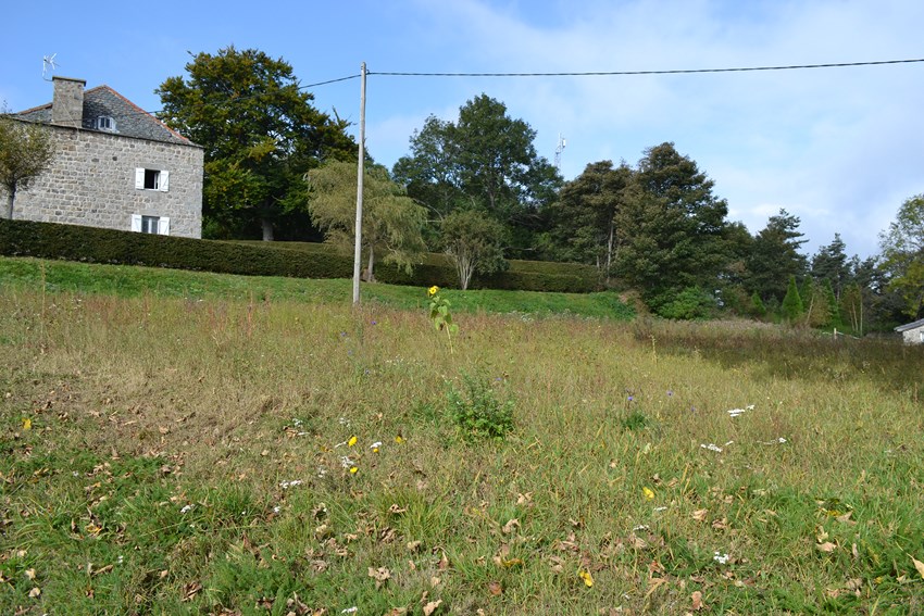 Terrain Le Chambon sur Lignon