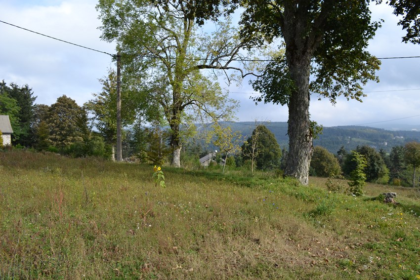 Terrain Le Chambon sur Lignon