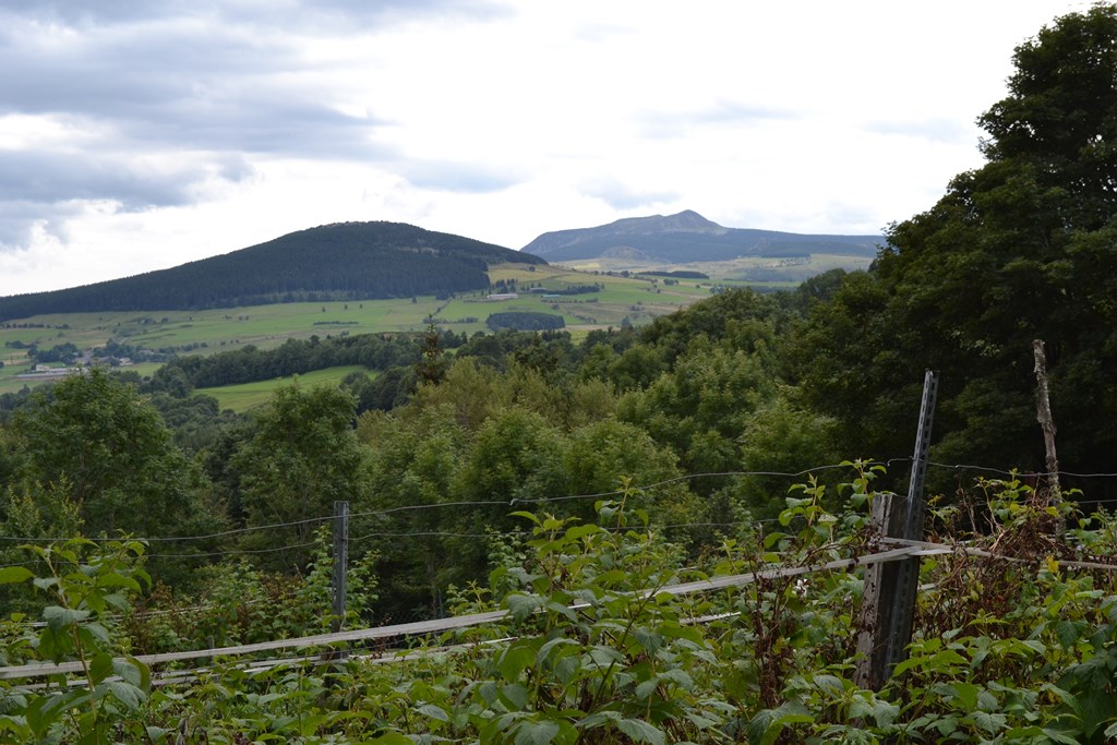 Ferme rénovée Fay sur Lignon Ferme rénovée avec superbe environnement
