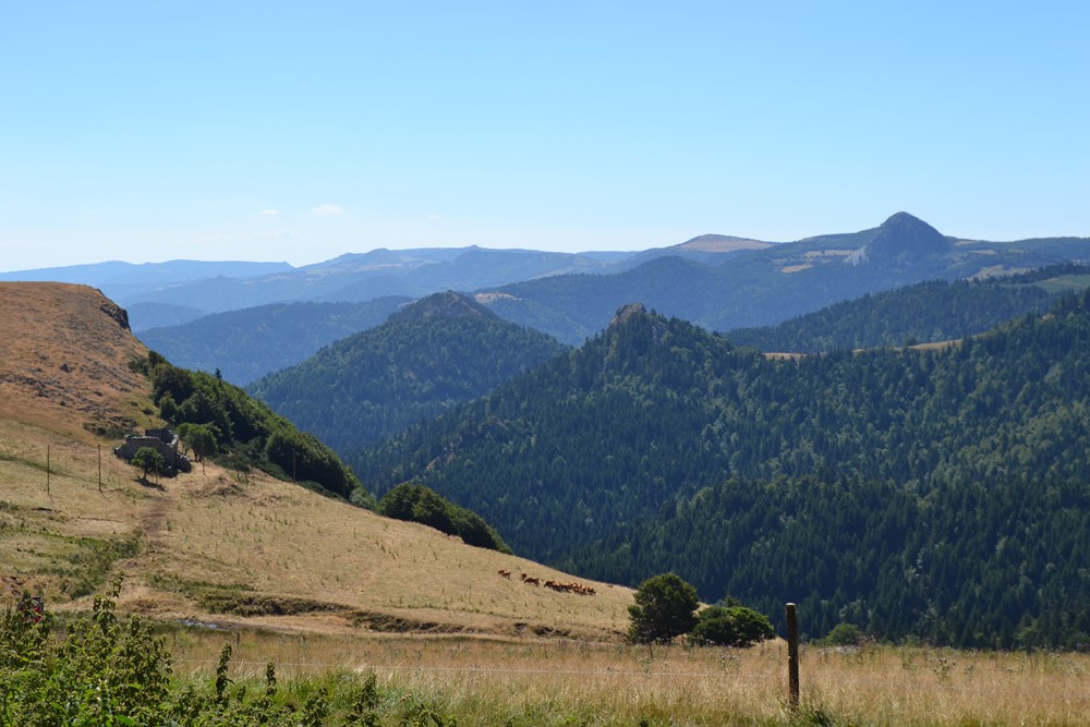 Ferme à rénover T4 Secteur Mézenc