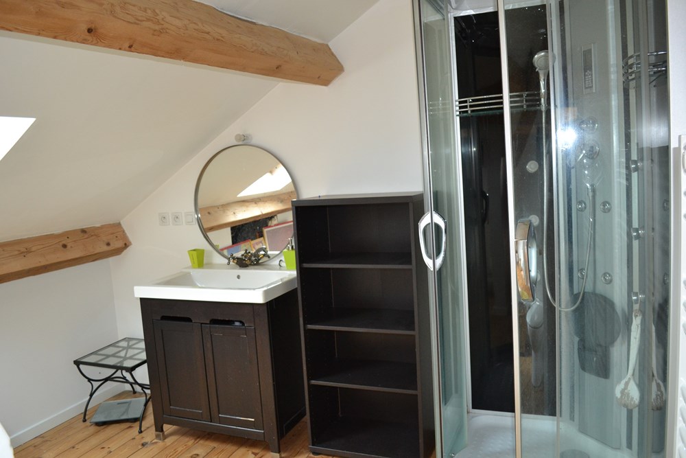 Appartement T2 LE CHAMBON SUR LIGNON Loft