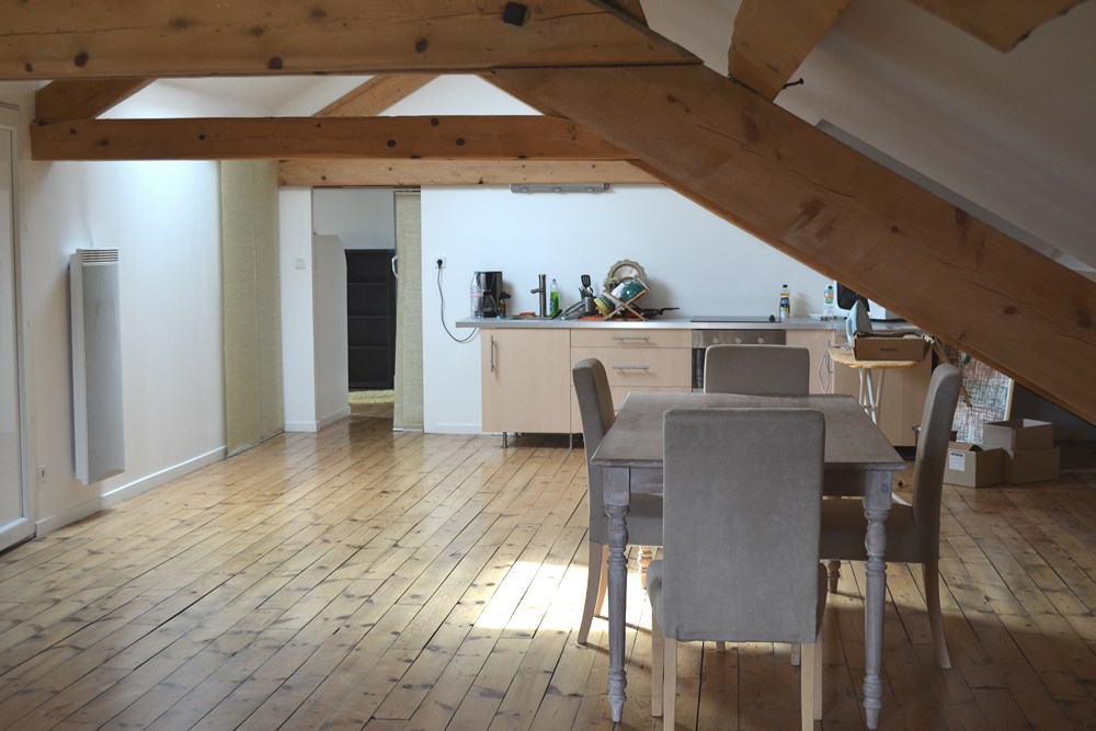 Appartement T2 LE CHAMBON SUR LIGNON Loft