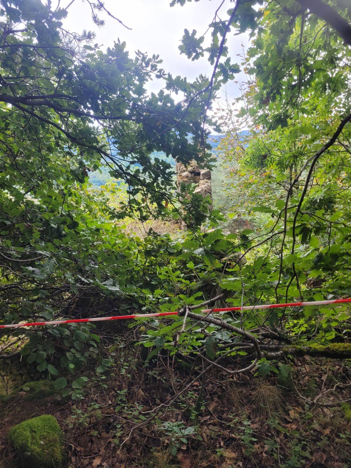 Foret Multi-essences sur la commune de MARIAC