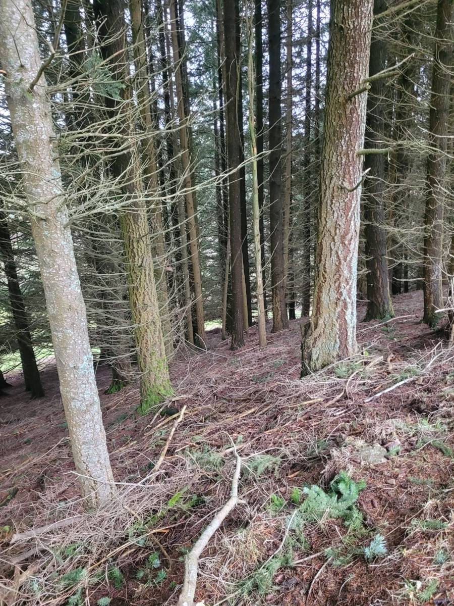 Terrain agricole et parcelles de bois