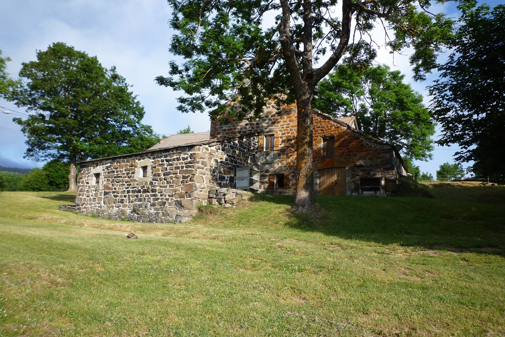 Ferme rénovée Fay sur Lignon Ferme rénovée avec superbe environnement