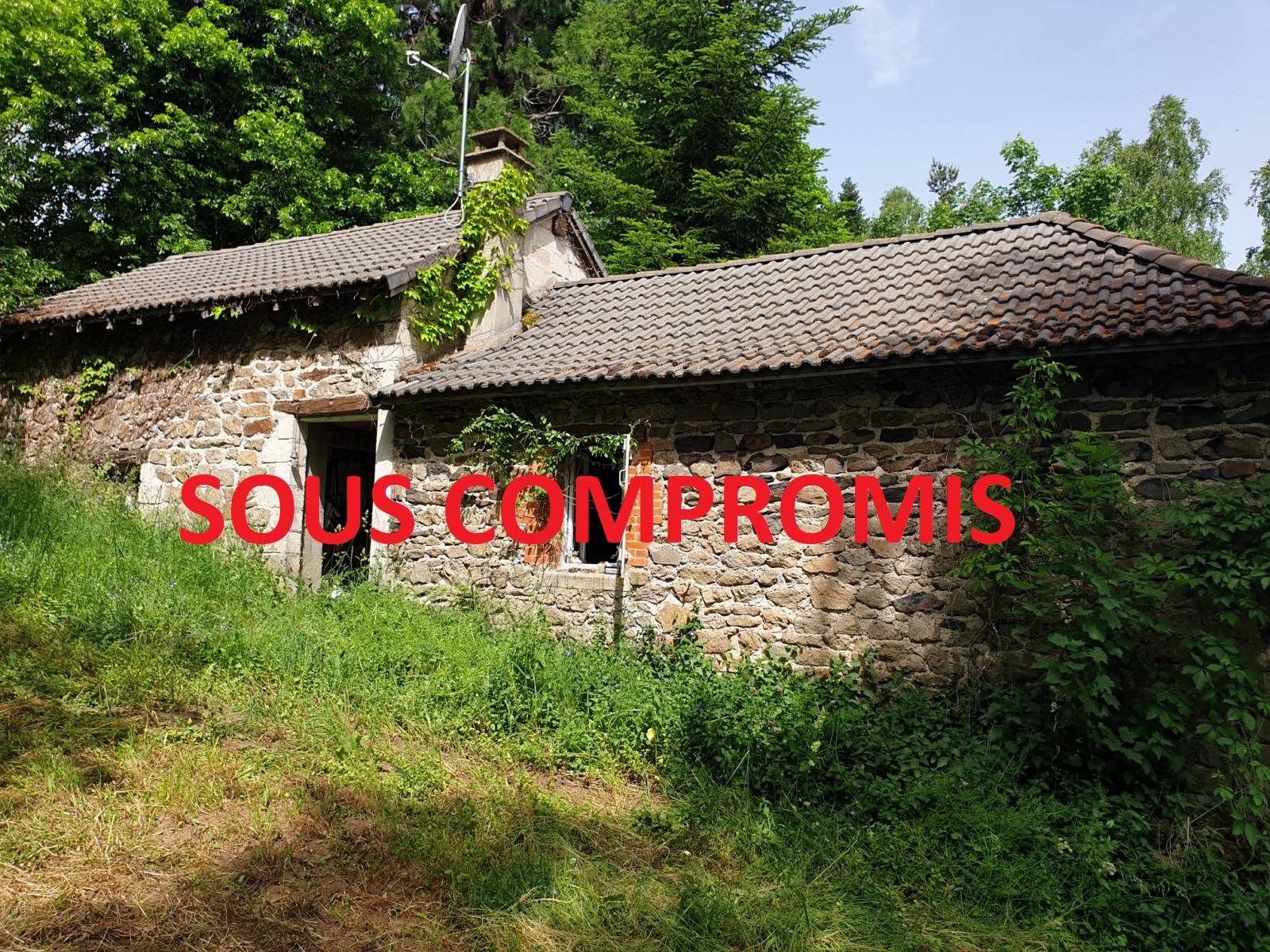 Maisons à rénover sur 11 900m² au Mazet St Voy