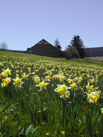 Moins d'un hectare T3 VENDU  VENDU   VENDU Label fondation du patrimoine