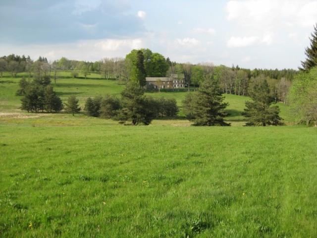 Plus d'un hectare T12 Campagne du Chambon VENDU  VENDU Authentique Plus d'un hectare 12 Campagne du Chambon VENDU  VENDU Authentique