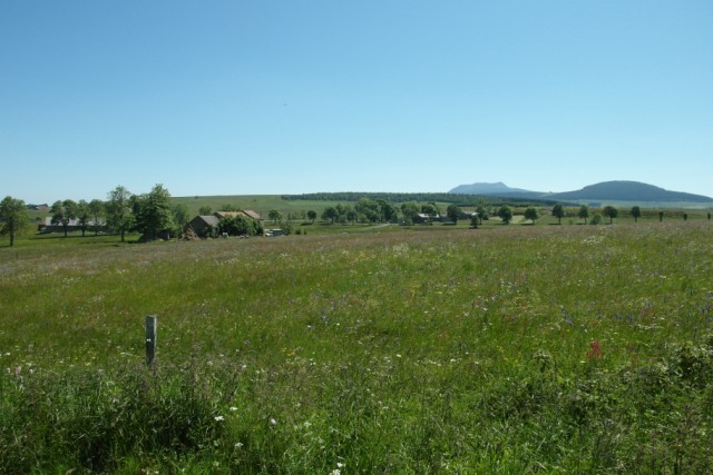Exploitation agricole T6 VENDU  Campagne du Chambon sur Lignon  FERME A RAFRAICHIR SUR 30 HECTARES de terrain Exploitation agricole 6 VENDU  Campagne du Chambon sur Lignon  Le Plateau du Mezenc FERME A RAFRAICHIR SUR 30 HECTARES de terrain