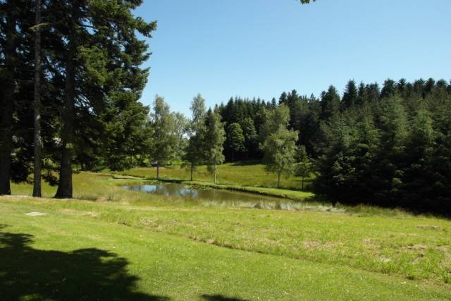 Ferme rénovée T5 Campagne du Chambon sur Lignon 2Ha de terrain avec étang  Ferme rénovée 5 Campagne du Chambon sur Lignon 2Ha de terrain avec étang