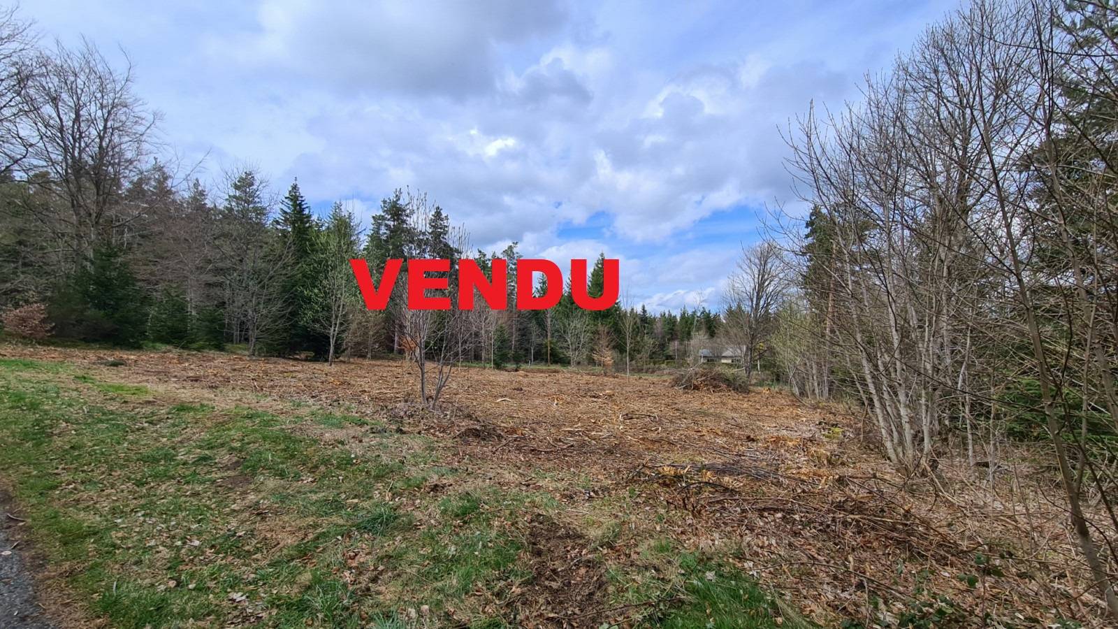 Terrain constructible proche du village