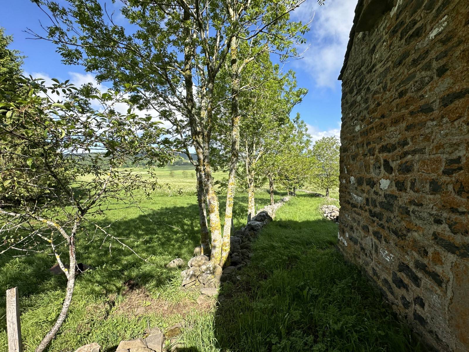 Ferme à rénover sur plus d'1,7 Ha à Araules