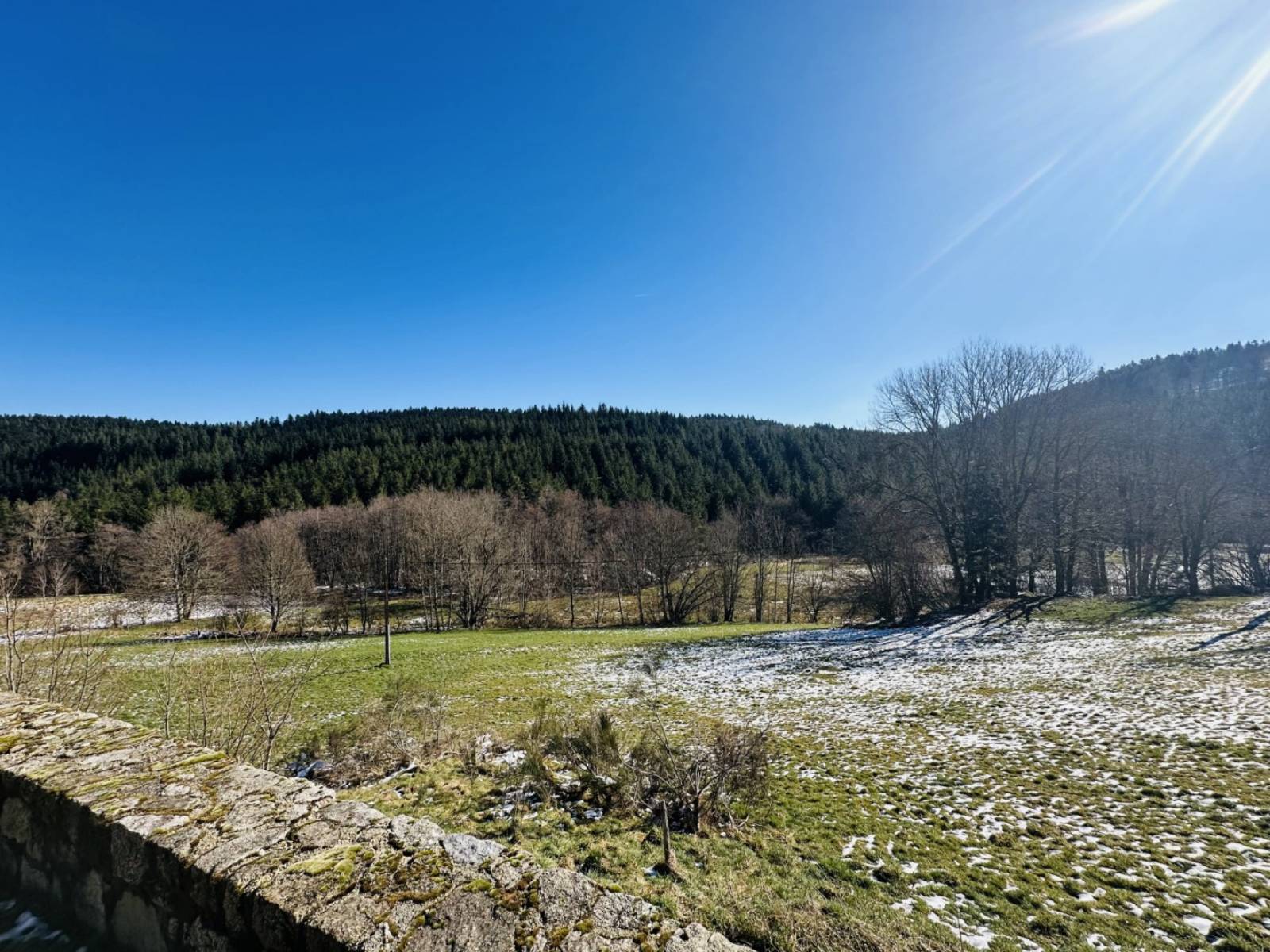 Propriété isolée sur plus de 5 000 m² de terrain à Tence