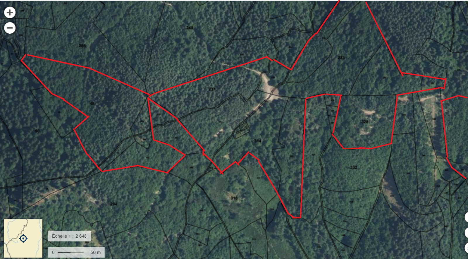 Foret Multi-essences sur la commune de MARIAC