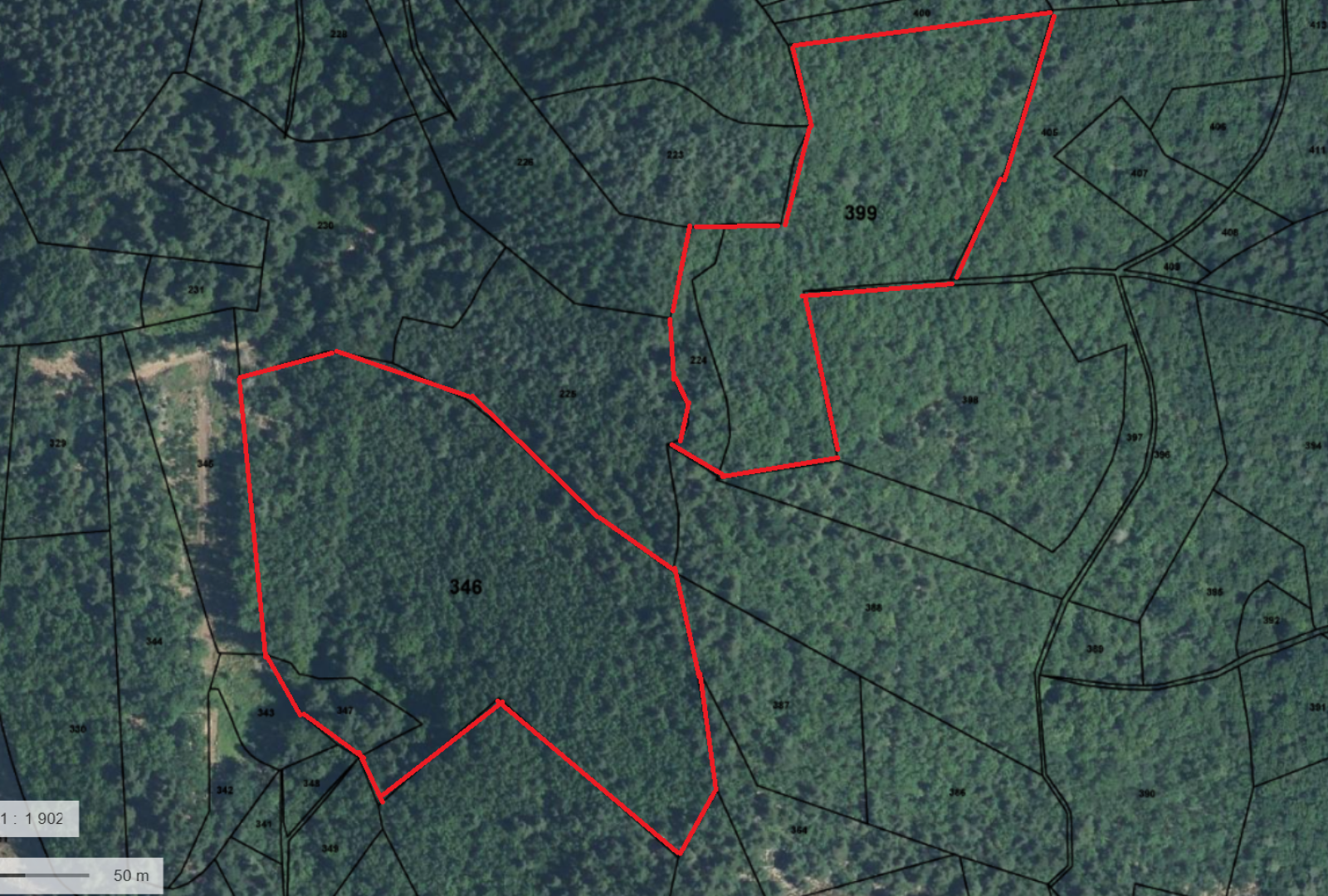 Foret Multi-essences sur la commune de MARIAC