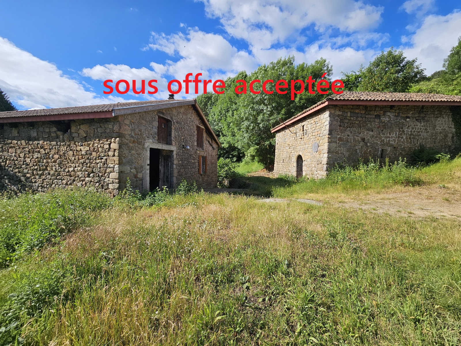 Propriété forestiere et bâtiment