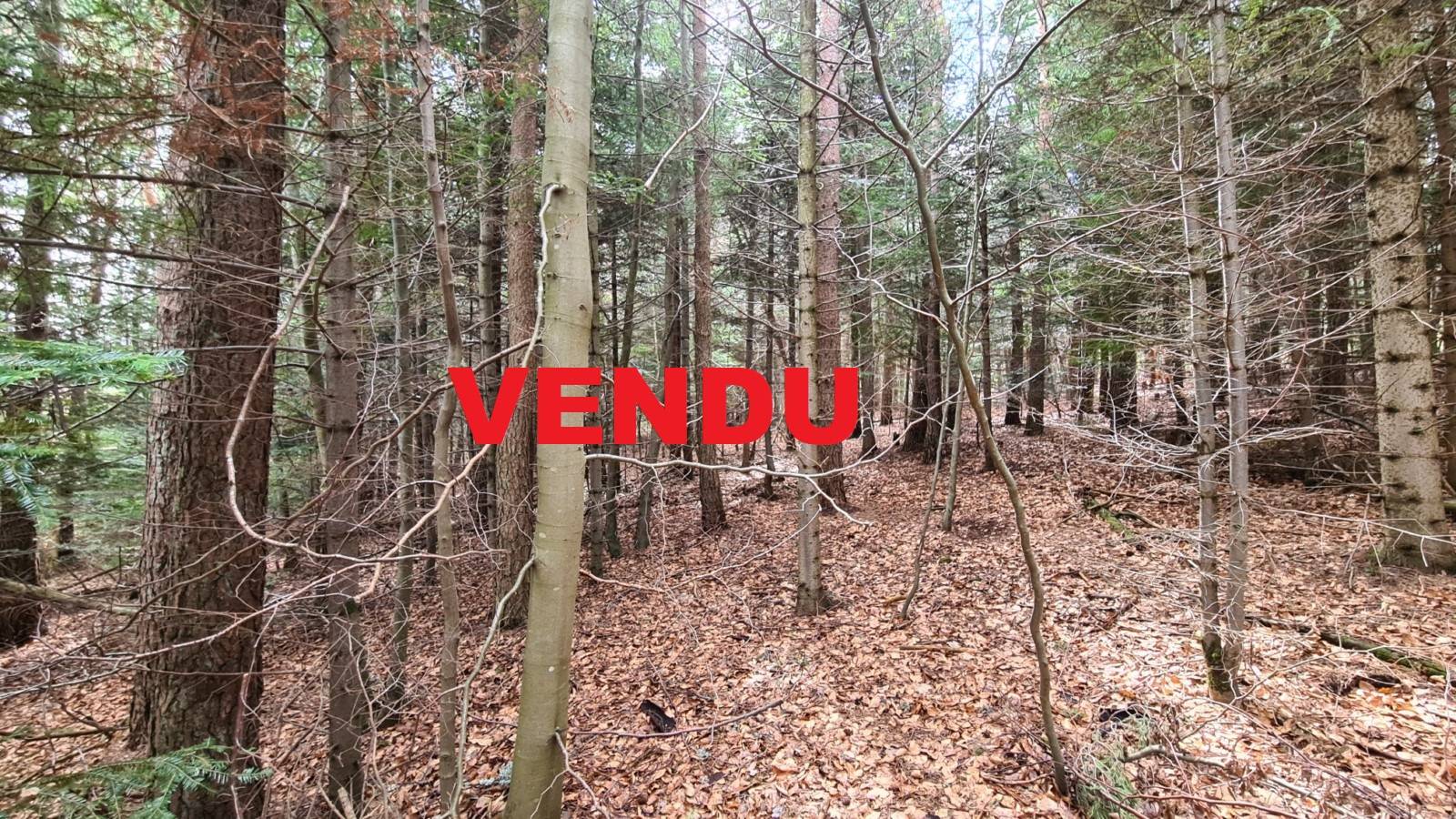 Terrain constructible à l'orée du village du Chambon