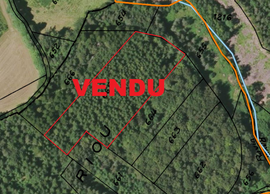 Parcelle de Bois Campagne du Mazet Saint Voy