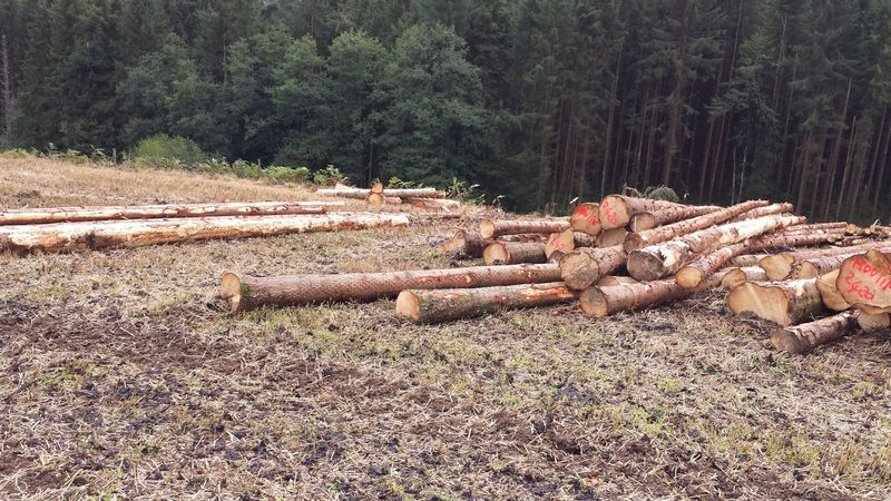 TERRAINS BOIS ET FORETS