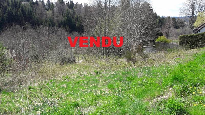 Terrain. Le Chambon sur Lignon, proche centre village. Expo sud. 1080m².
