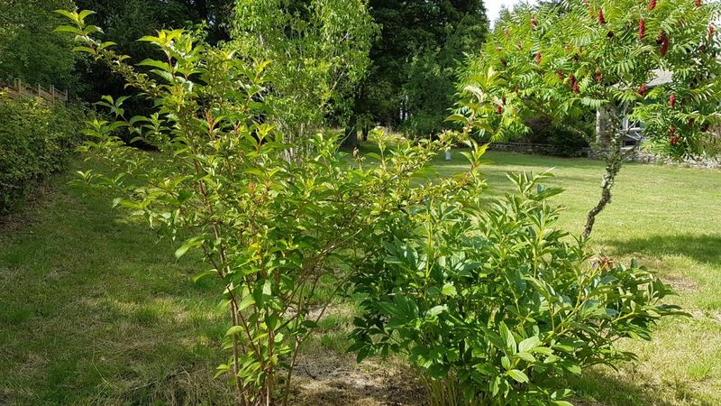 Maison de village à Mars