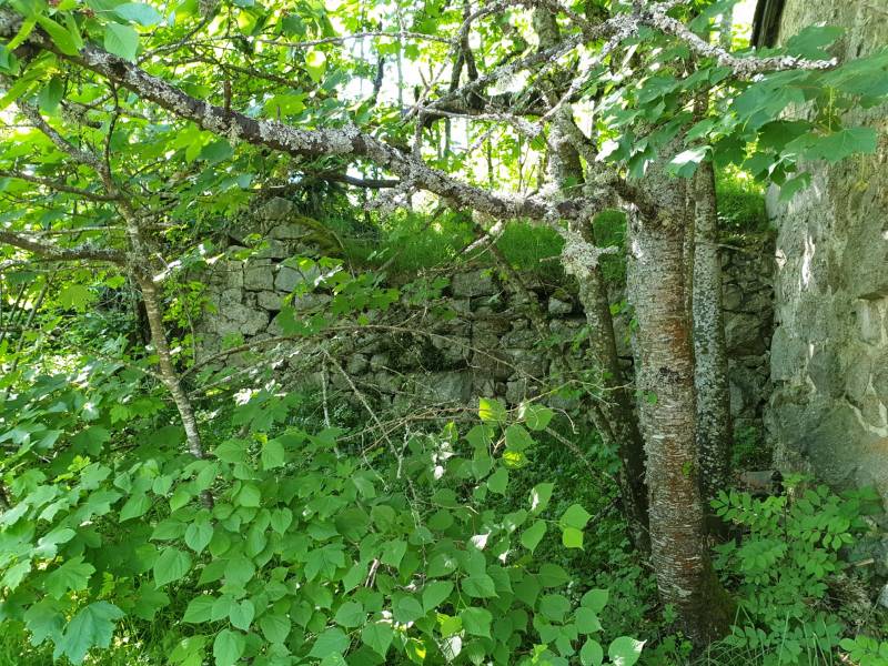 Ferme à rénover, secteur Tence