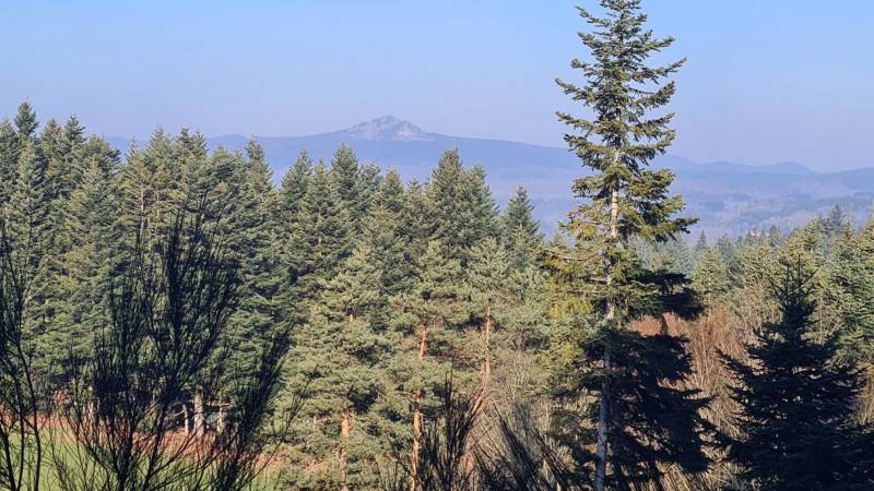 Terrain constructible belle vue expo sud-ouest à proximité du Chambon sur Lignon