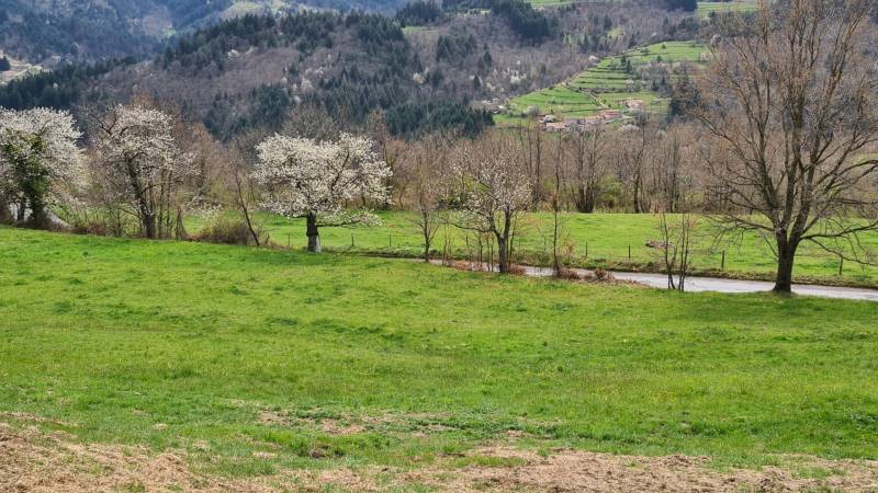 Parcelle de terrain constructible Saint Jean Roure