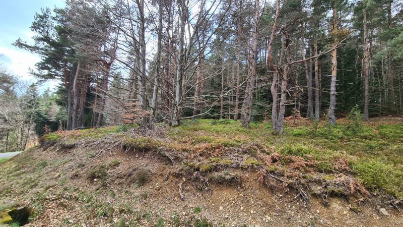Terrain constructible à l'orée du village du Chambon