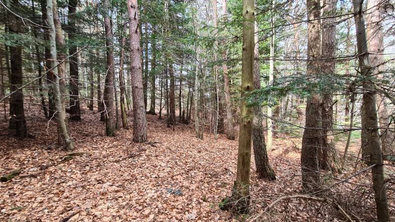 Terrain constructible à l'orée du village du Chambon