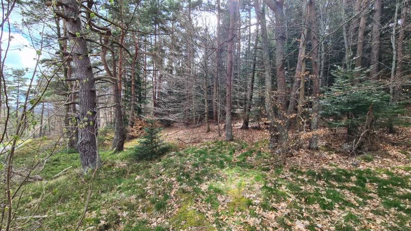 Terrain constructible à l'orée du village du Chambon