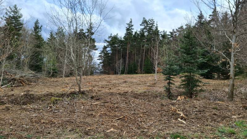 Terrain constructible proche du village