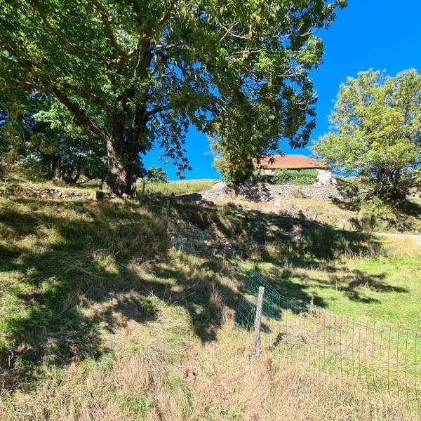 Ferme isolée avec plus d'un hectare à Mézilhac