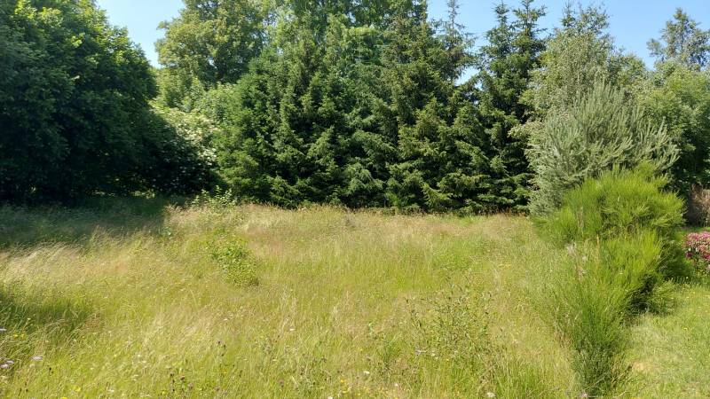 Terrain constructible proche du Chambon sur Lignon