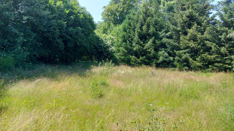 Terrain constructible proche du Chambon sur Lignon