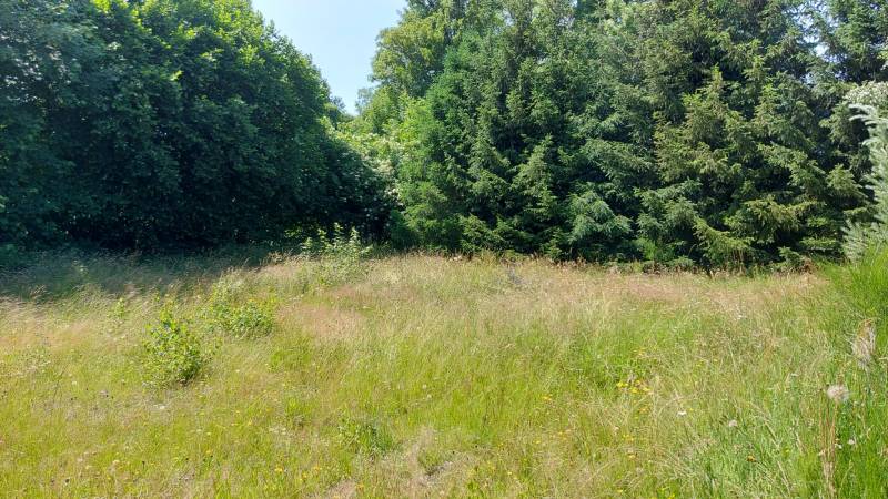 Terrain constructible proche du Chambon sur Lignon
