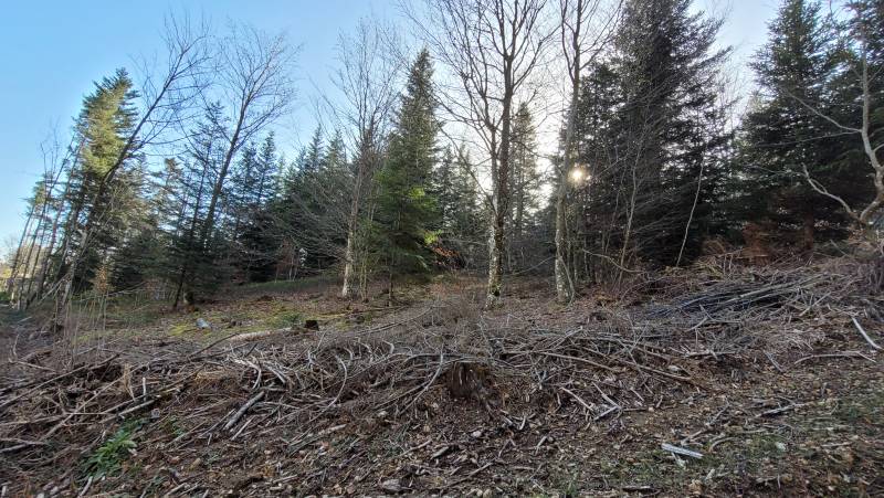 Terrain constructible à proximité du centre du Chambon sur Lignon