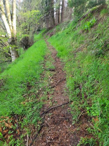 Parcelles de Bois et Foret Ardèche Verte