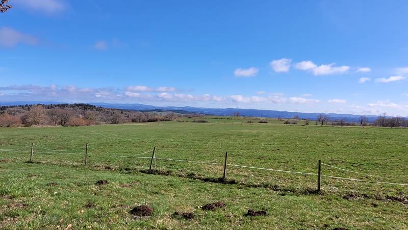 Ancienne ferme rénovée au pied du Lizieux