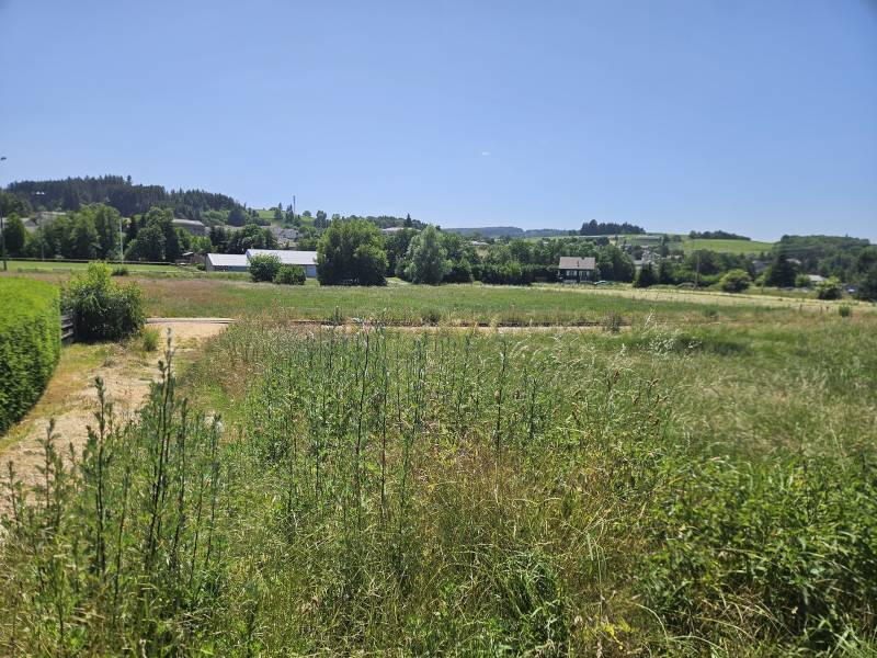 Terrain Constructible Tence