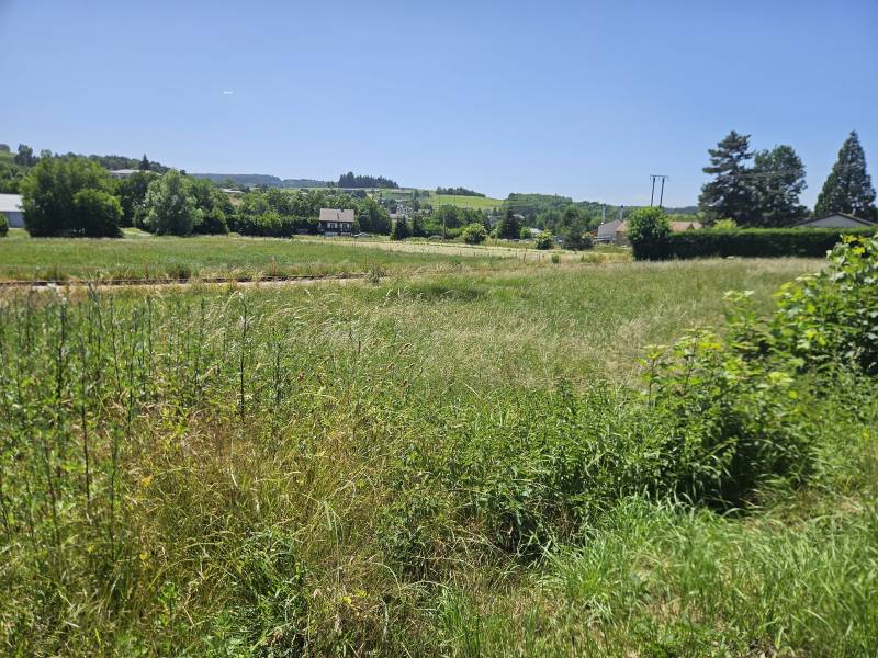 Terrain Constructible Tence