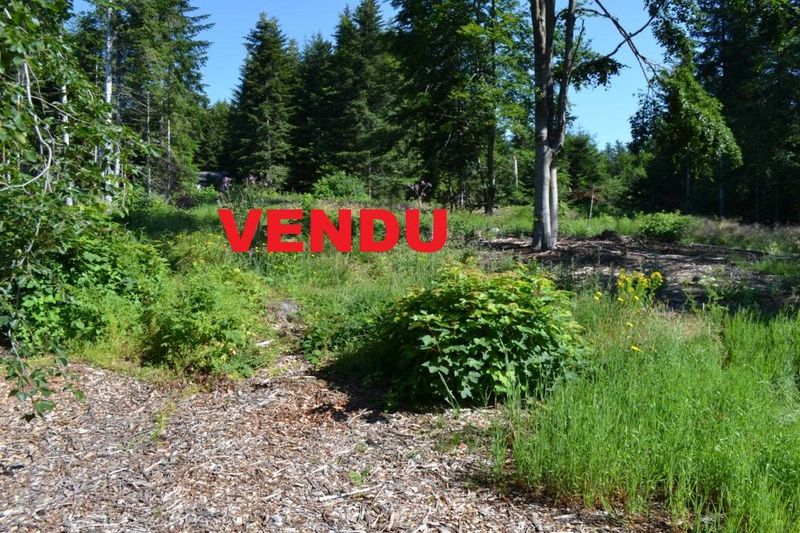 Terrain Le Chambon sur Lignon Quartier calme.  Orée du village.