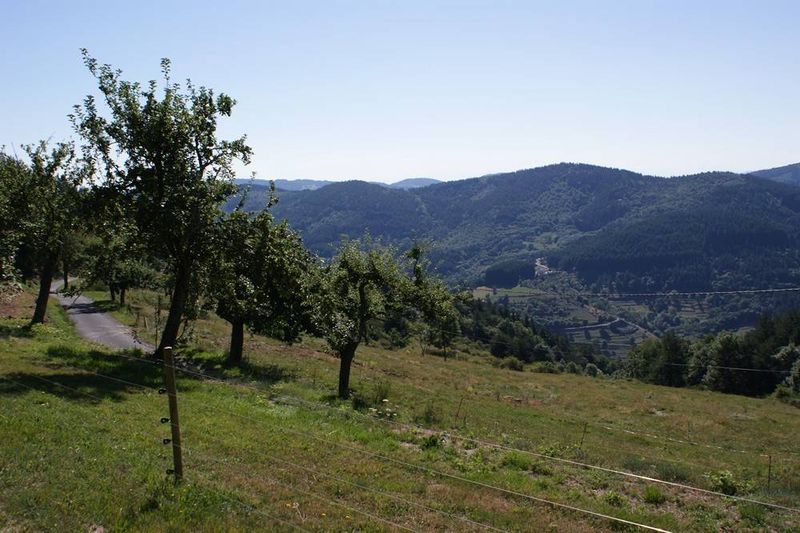 Ferme rénovée Les Nonières 14Ha de terrain. Isolé. Calme. Cachet.