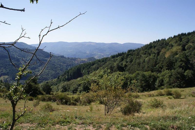 Ferme rénovée Les Nonières 14Ha de terrain. Isolé. Calme. Cachet.