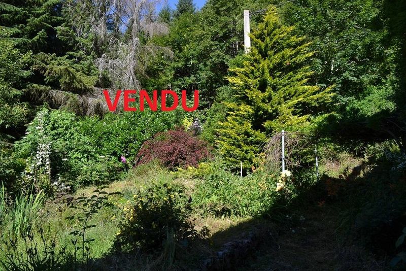 Ferme rénovée sur plus de 1 ha T5 saint bonnet le froid ferme très isolée sur 3.2 ha de terrain boisé